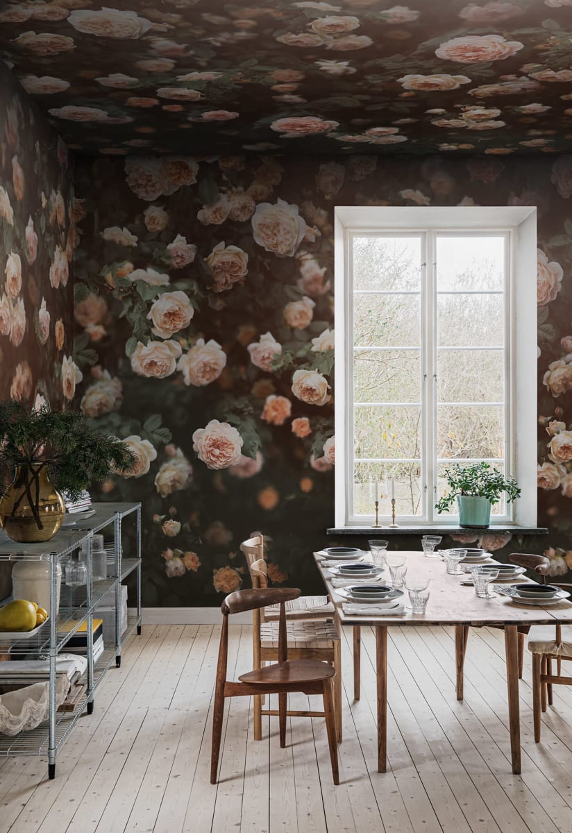 Regal Rose, Apricot, Rebel Walls 2