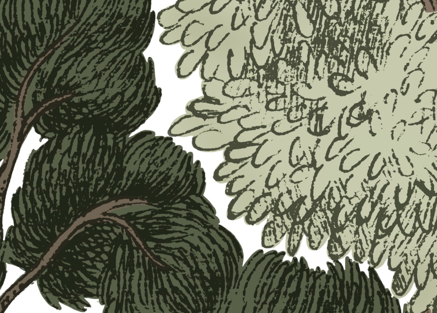 Scandinavian Bellewood, Rebel Walls 5