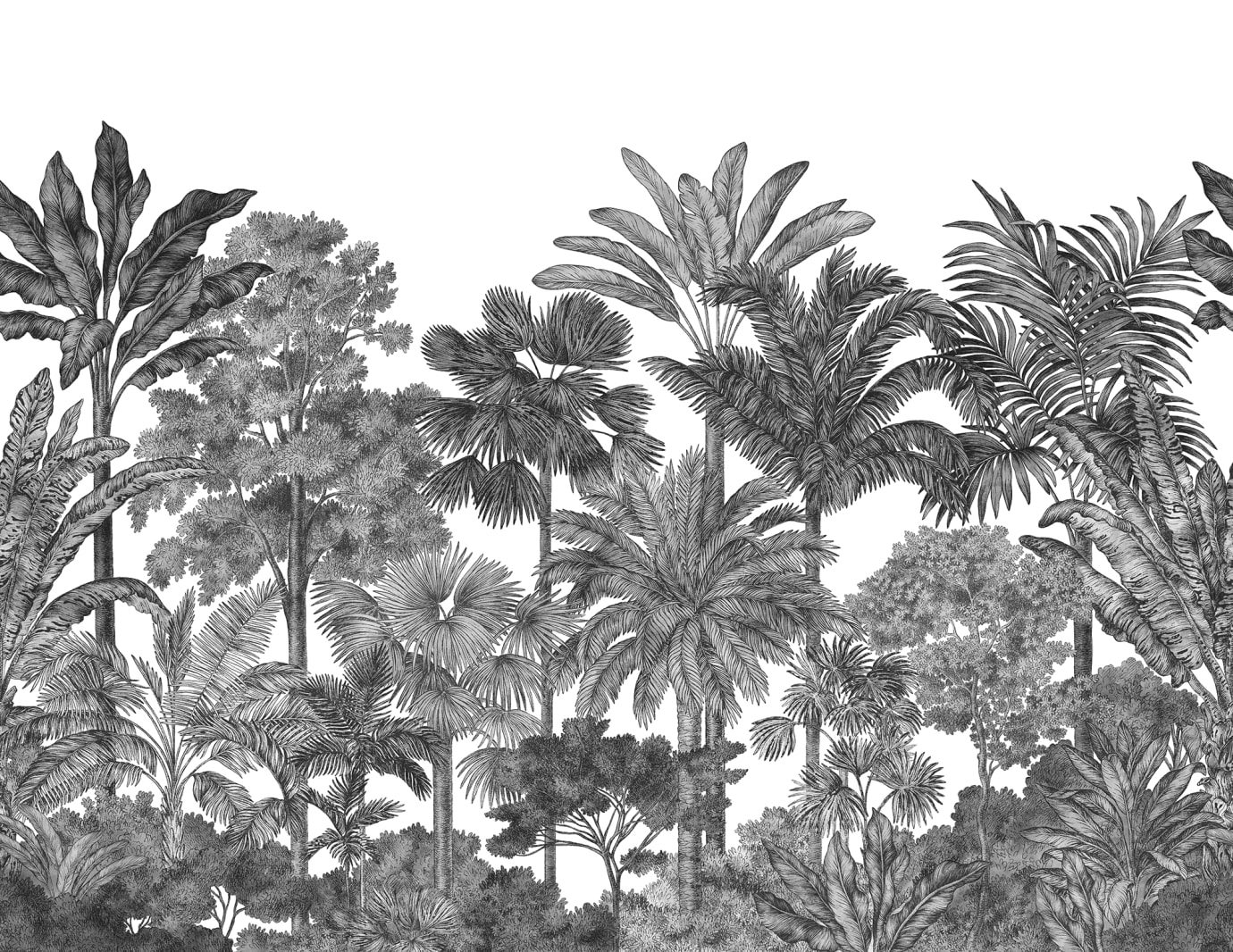 Tropical Bellewood, Graphite, Rebel Walls