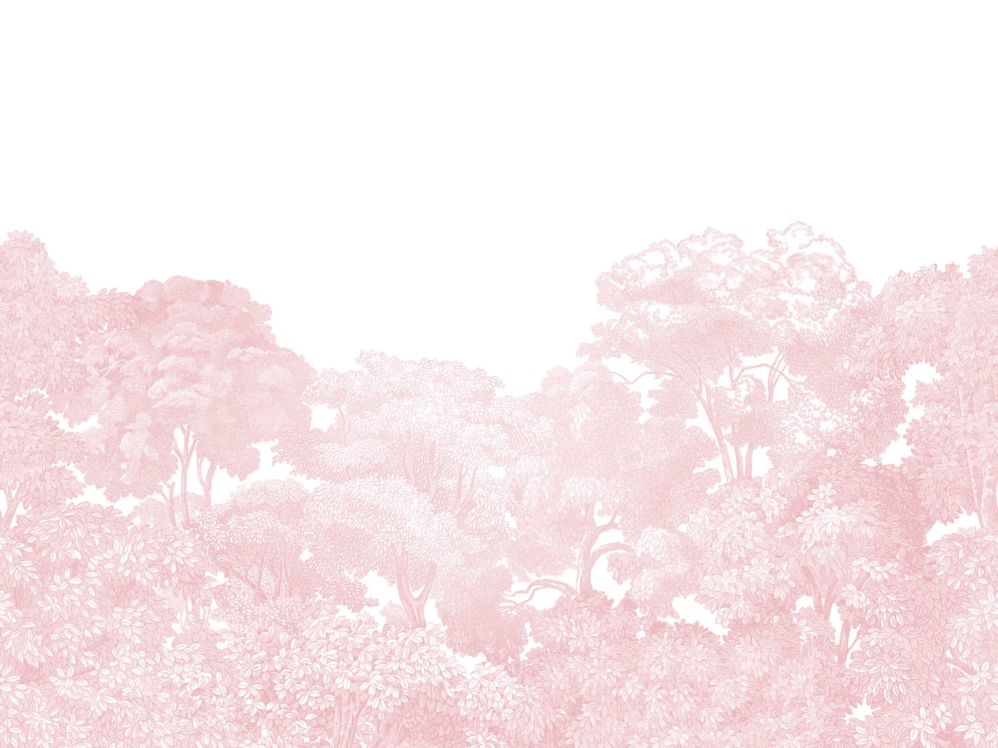 Bellewood, Pink, Rebel Walls