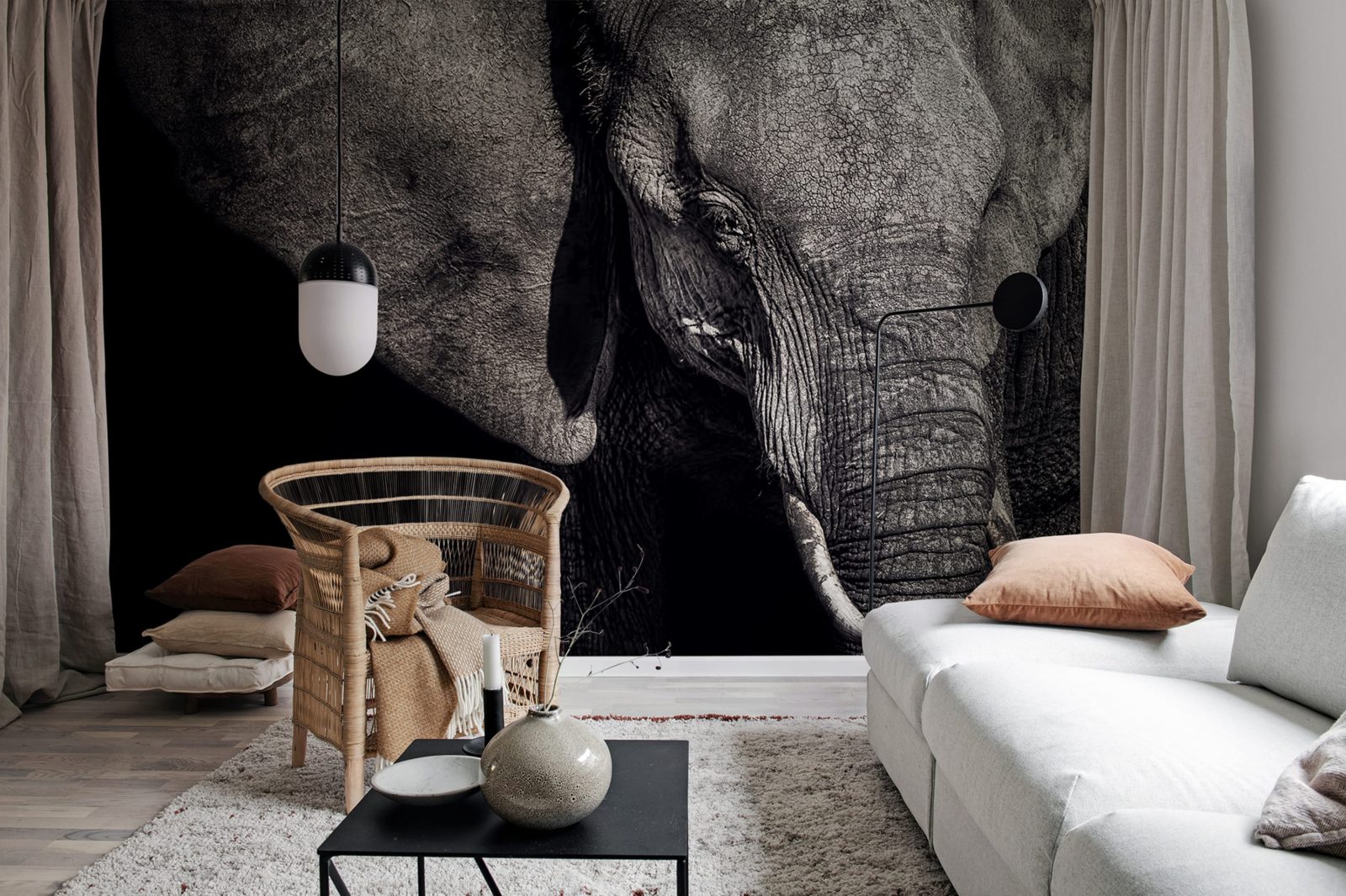 Elephant, Rebel Walls 2