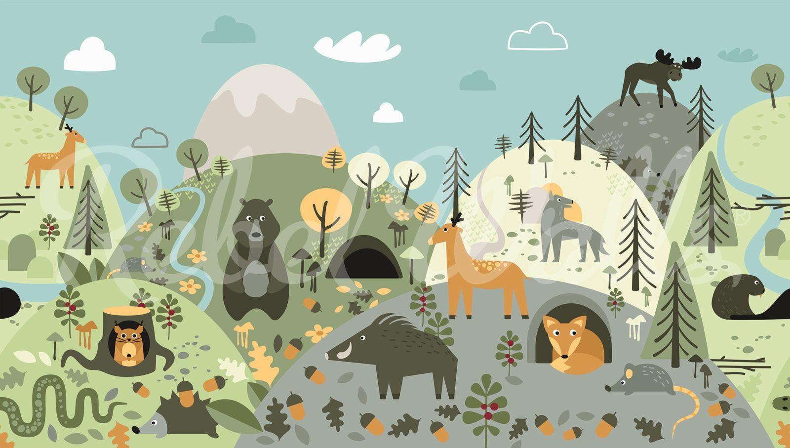 Forest Wildlife, Colorful, Rebel Walls