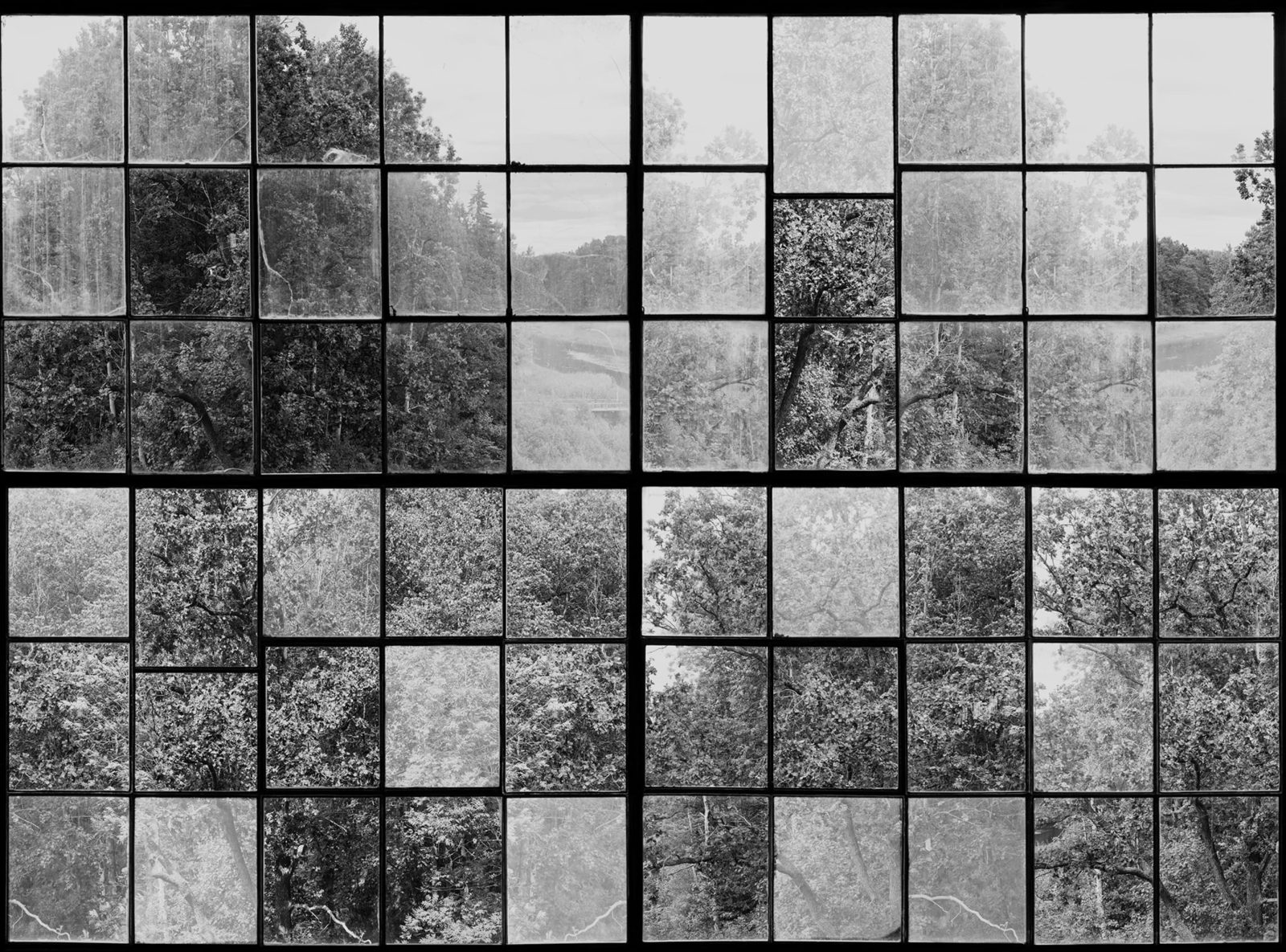 Factory Window, Graphite, Rebel Walls