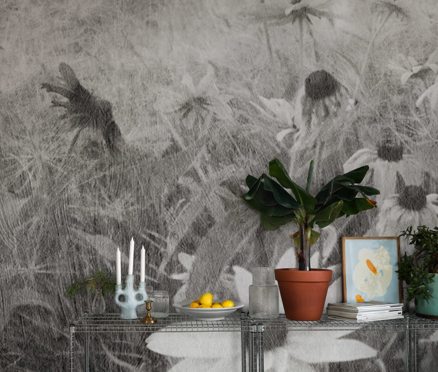 Dreamy Rudbeckia, Black & White, Rebel Walls 3