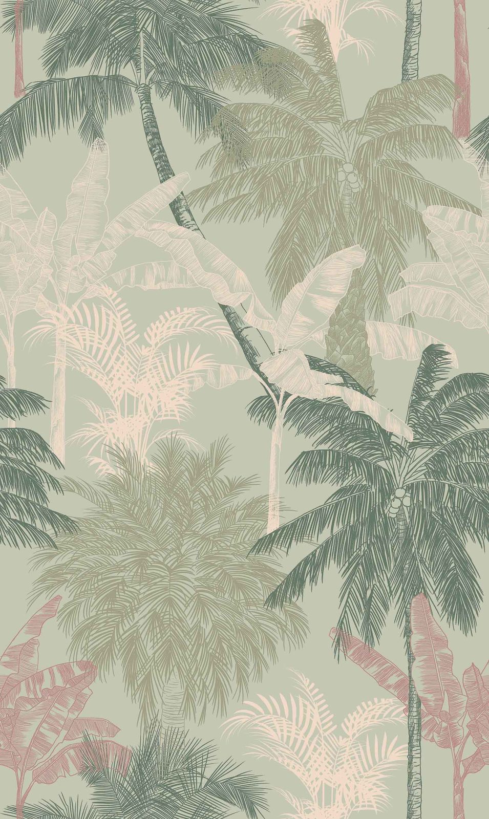 Palms, Menta, Coordonne, 5mp / rola