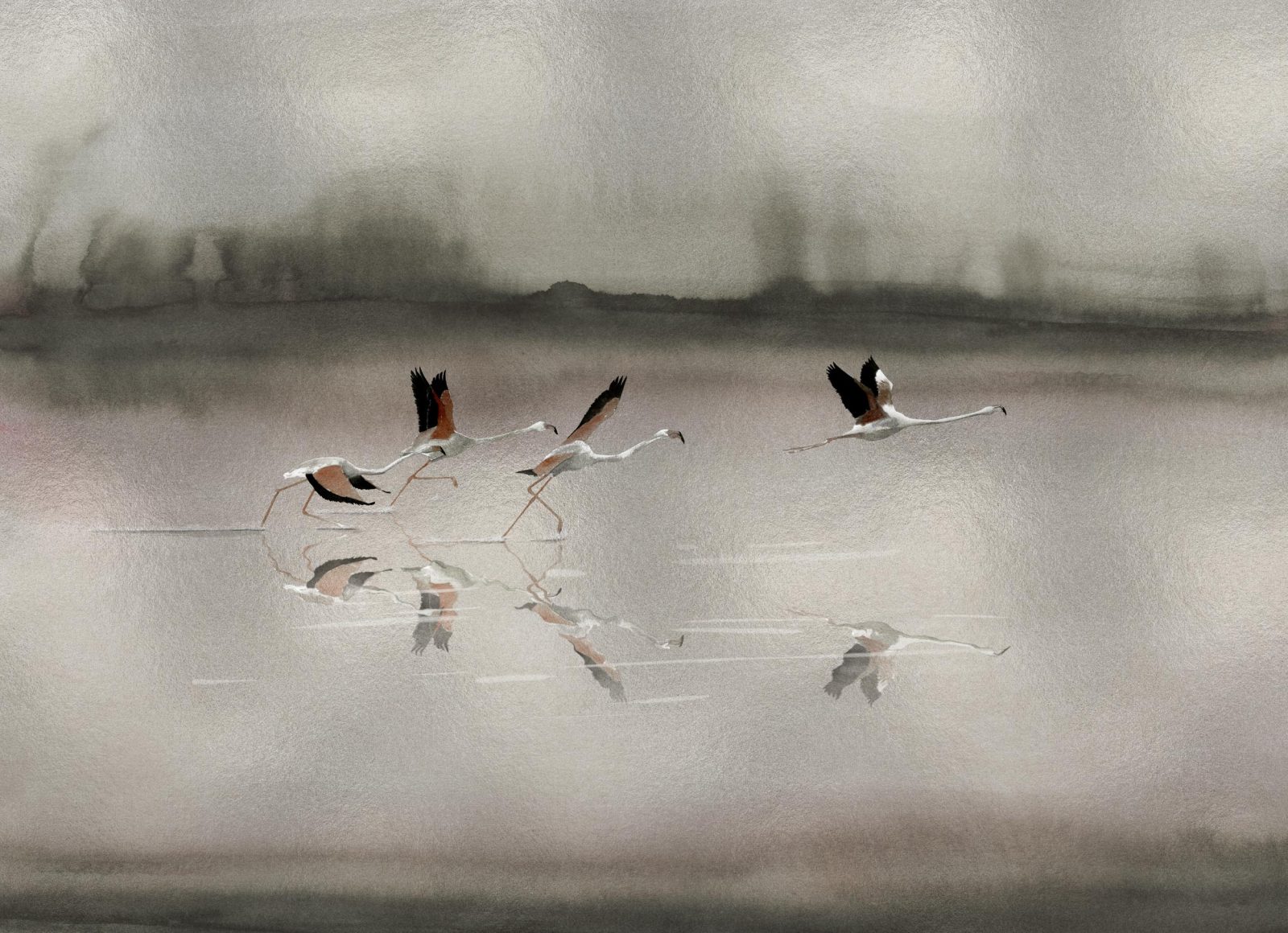 Doñana, Silver, Coordonne