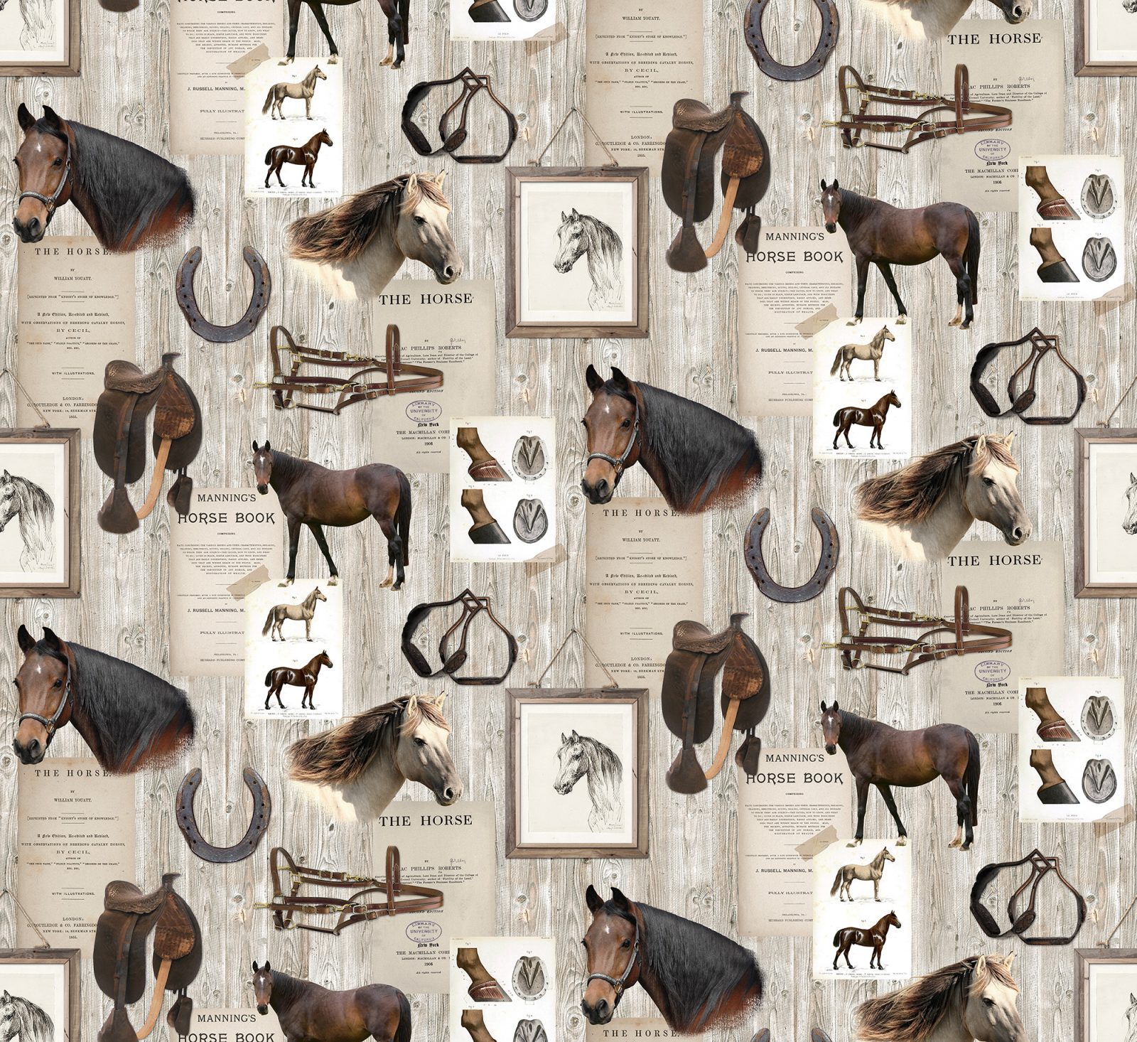 Horse Mania, Rebel Walls