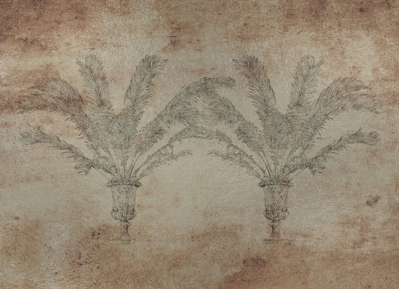 Palma, Silver, Coordonne