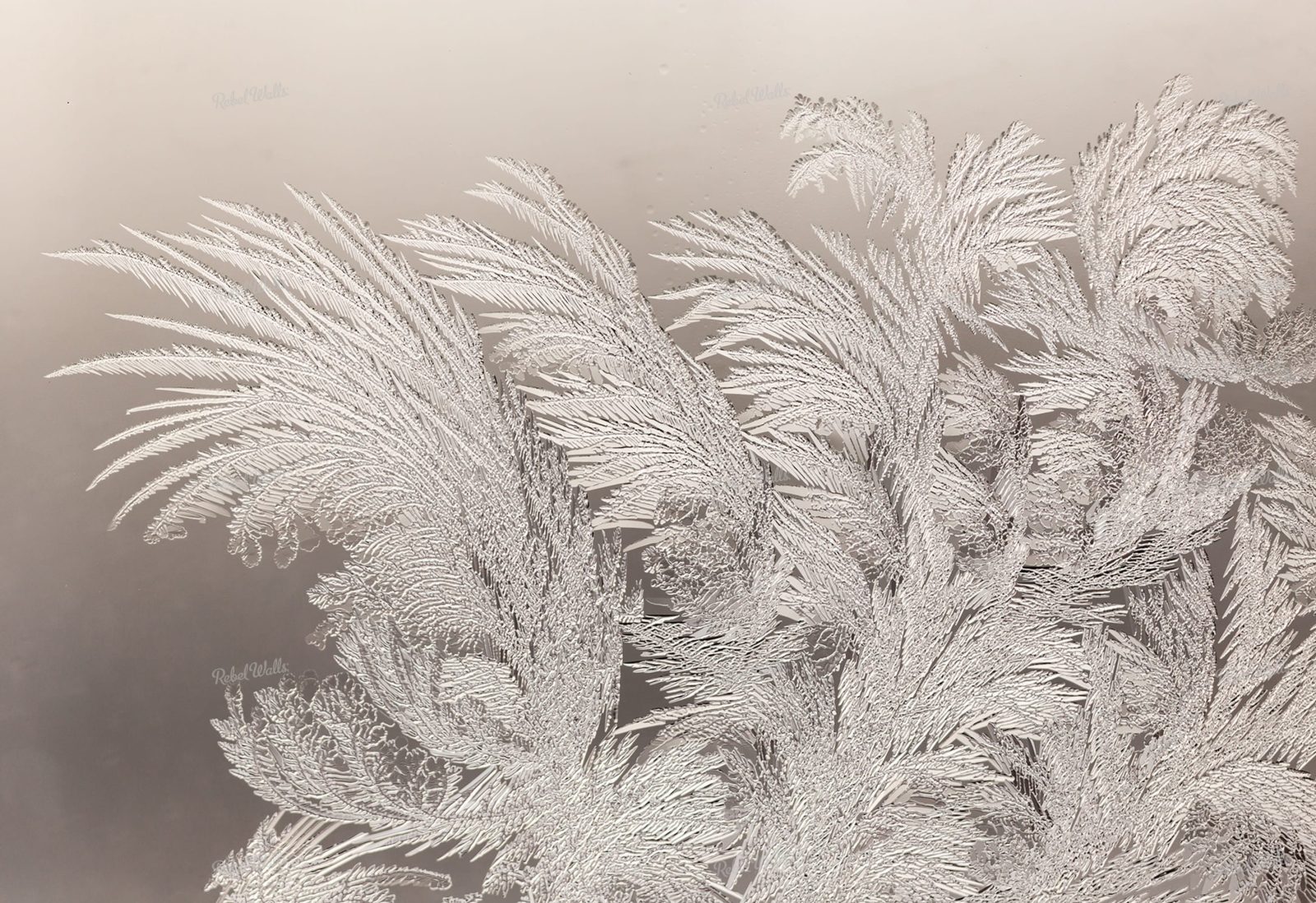 Ice Crystals, Rebel Walls