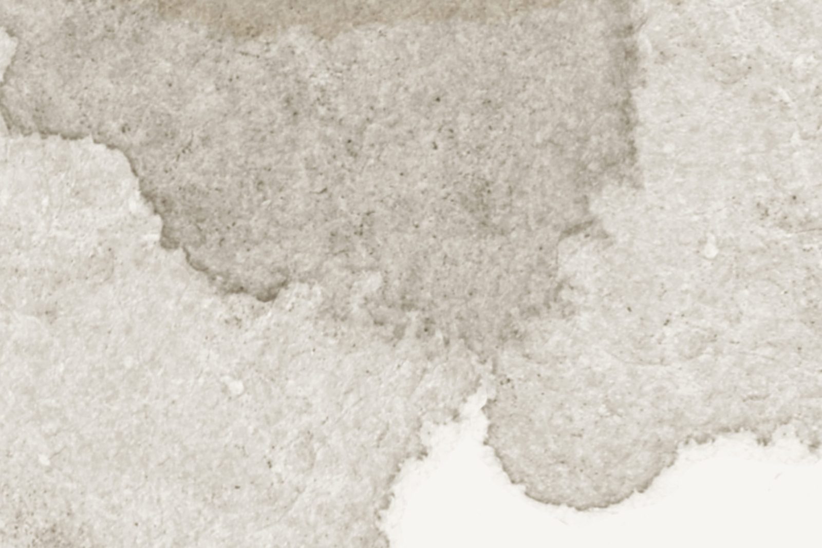 Petals, Sand, Rebel Walls 4