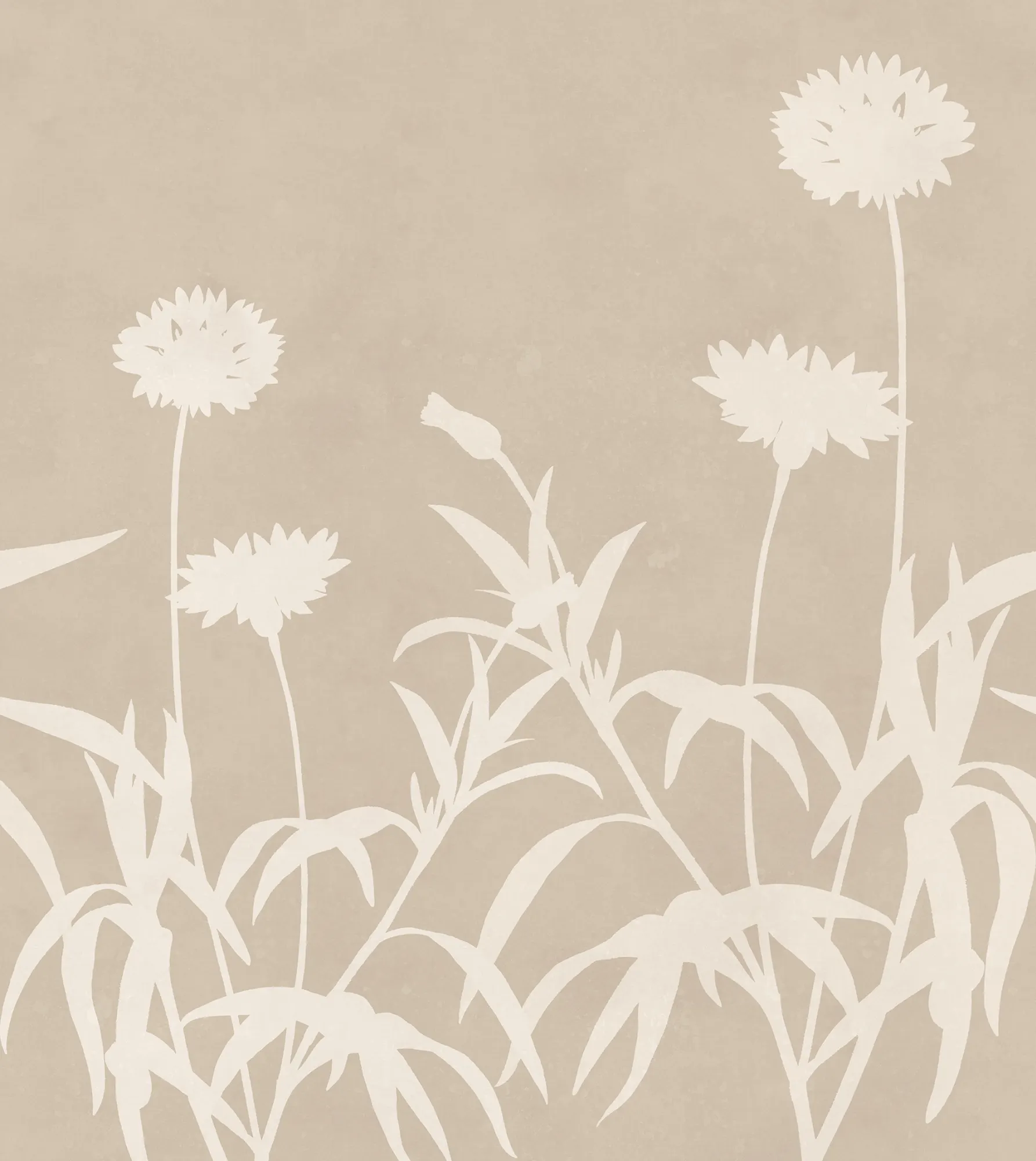 Floral Silhouette, Beige, Rebel Walls