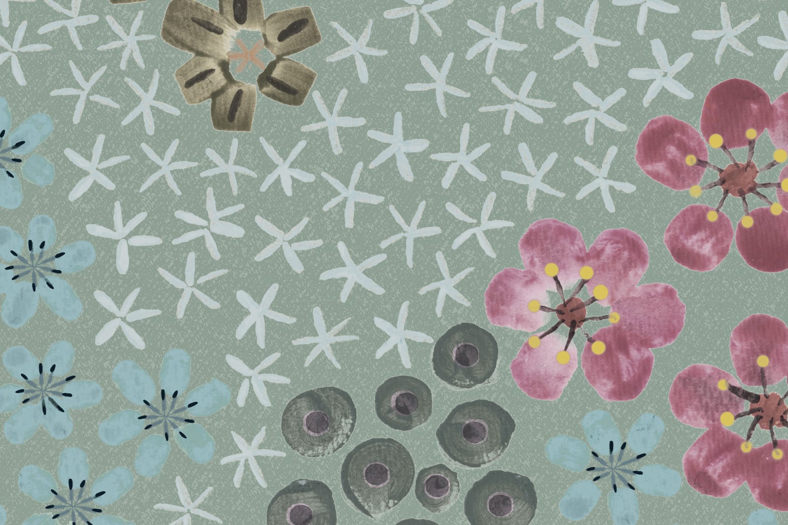 Perennials, Evening, Rebel Walls 4