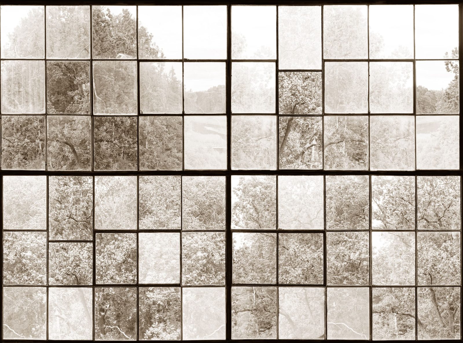 Factory Window, Sepia, Rebel Walls