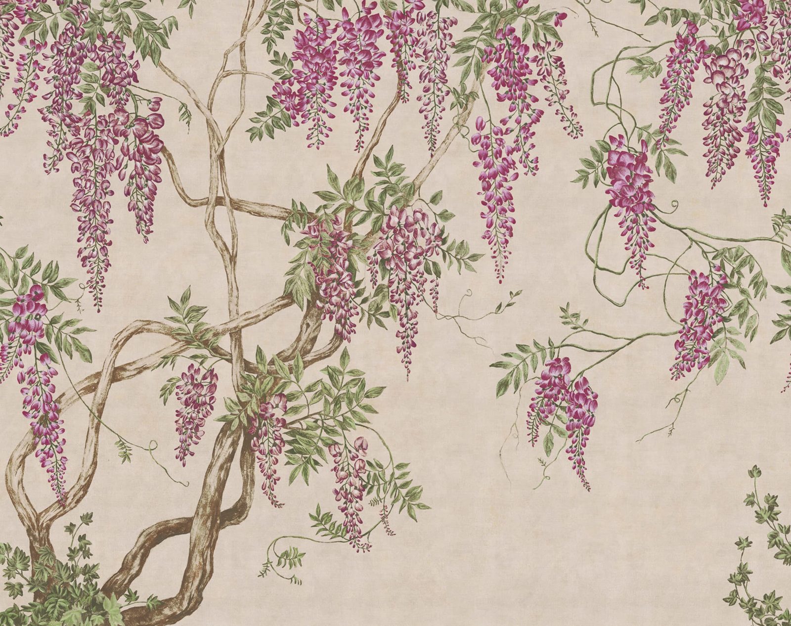 Wisteria Tree, Dusty Pink, Rebel Walls