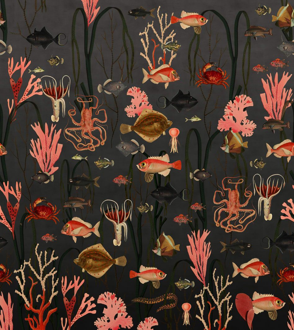 Aquatic Life, Shadows, Rebel Walls