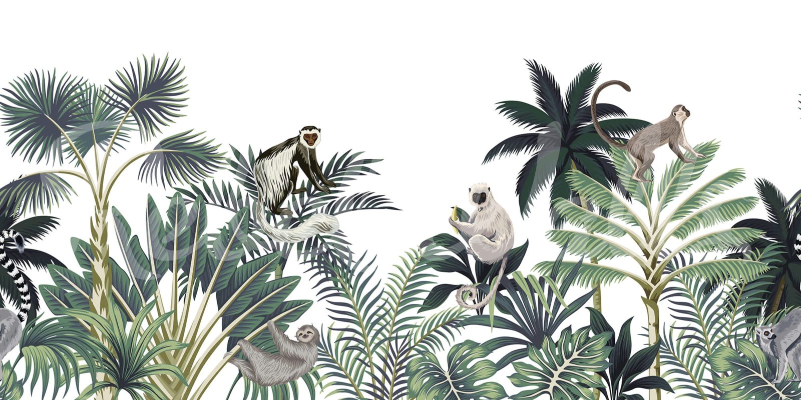 Jungle Monkeys, White, Rebel Walls