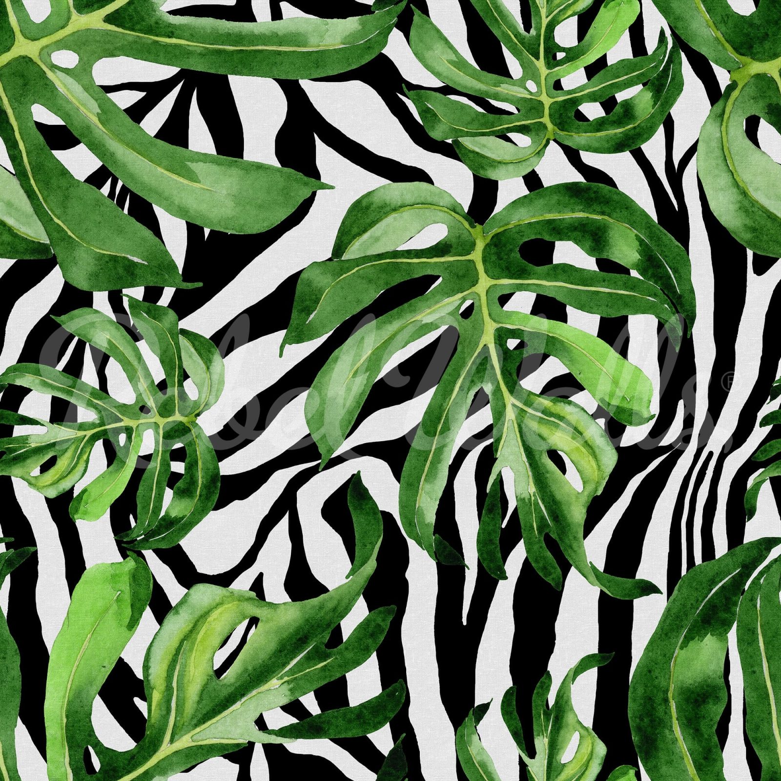 Jungle Zebra, Rebel Walls