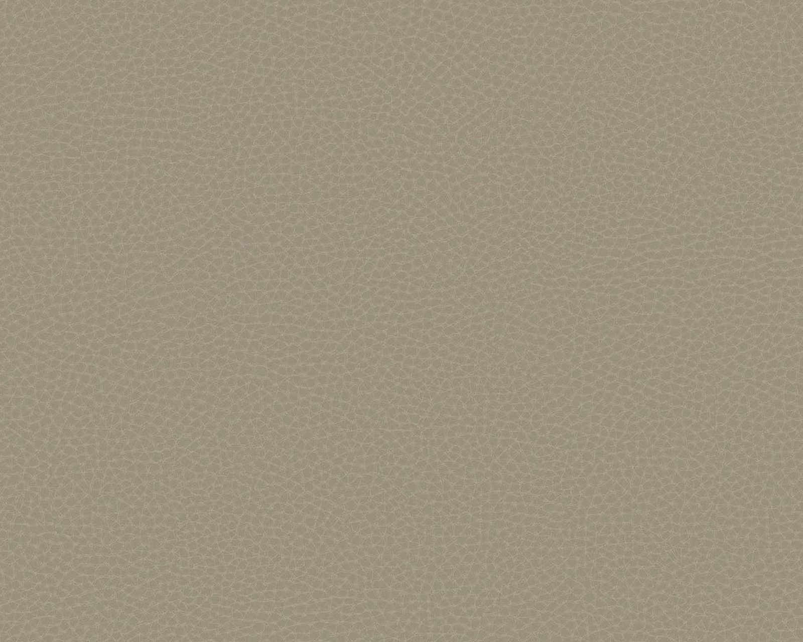 Chic Leather, 64788006, Coordonne