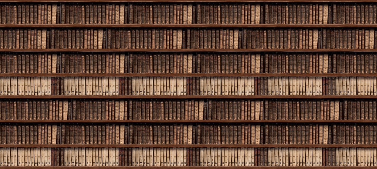 Antique Books, Rebel Walls