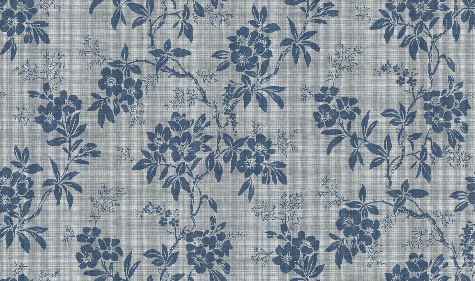 Vera, Blue, Sandberg