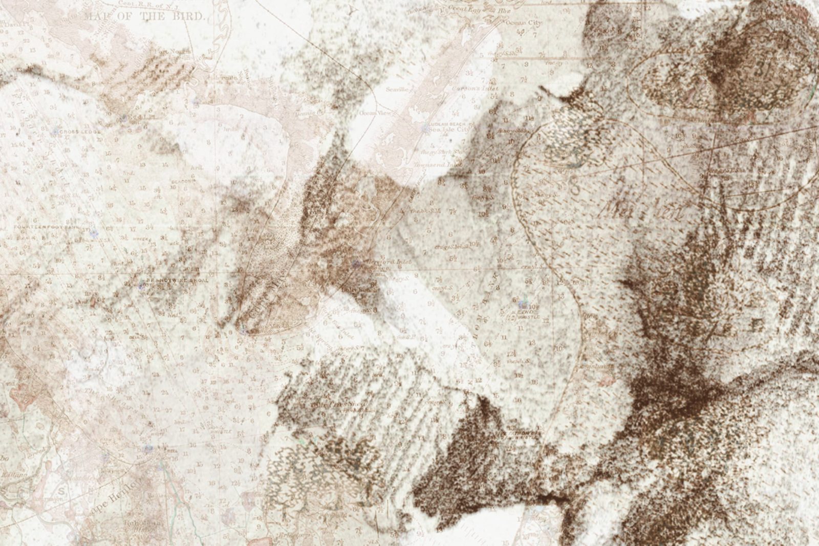 Paper Mountains, Sepia, Rebel Walls 4