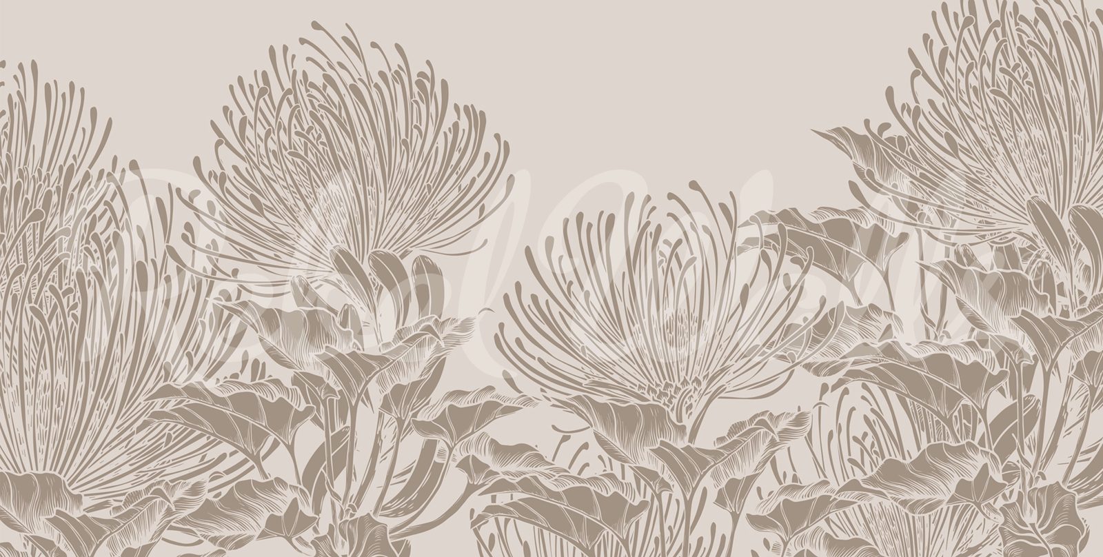 Protea Bloom, Soft Gray, Rebel Walls