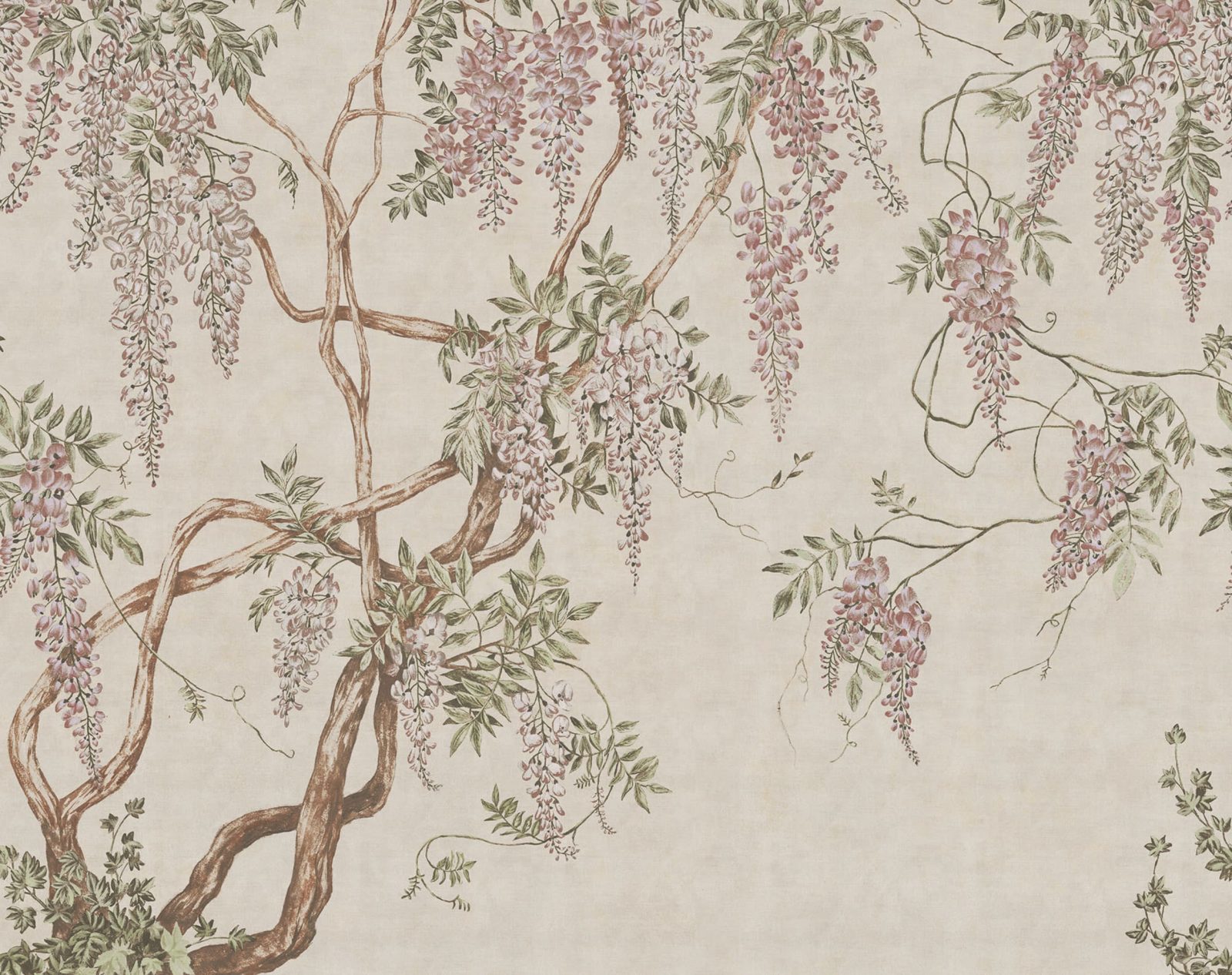 Wisteria Tree, Sand, Rebel Walls