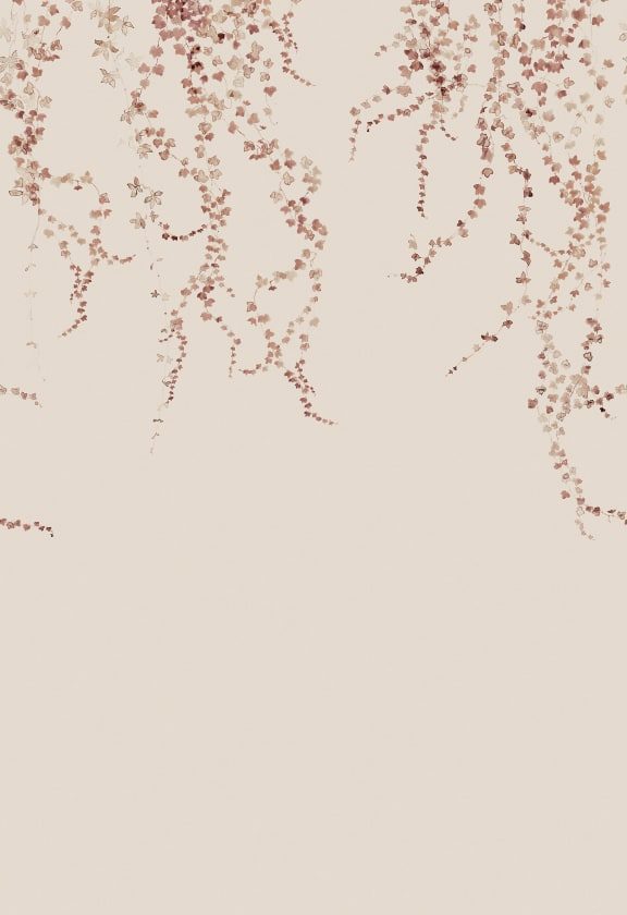 Aralia, Burgundy, Sandberg