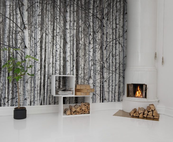 Birch Trunks, Rebel Walls 2