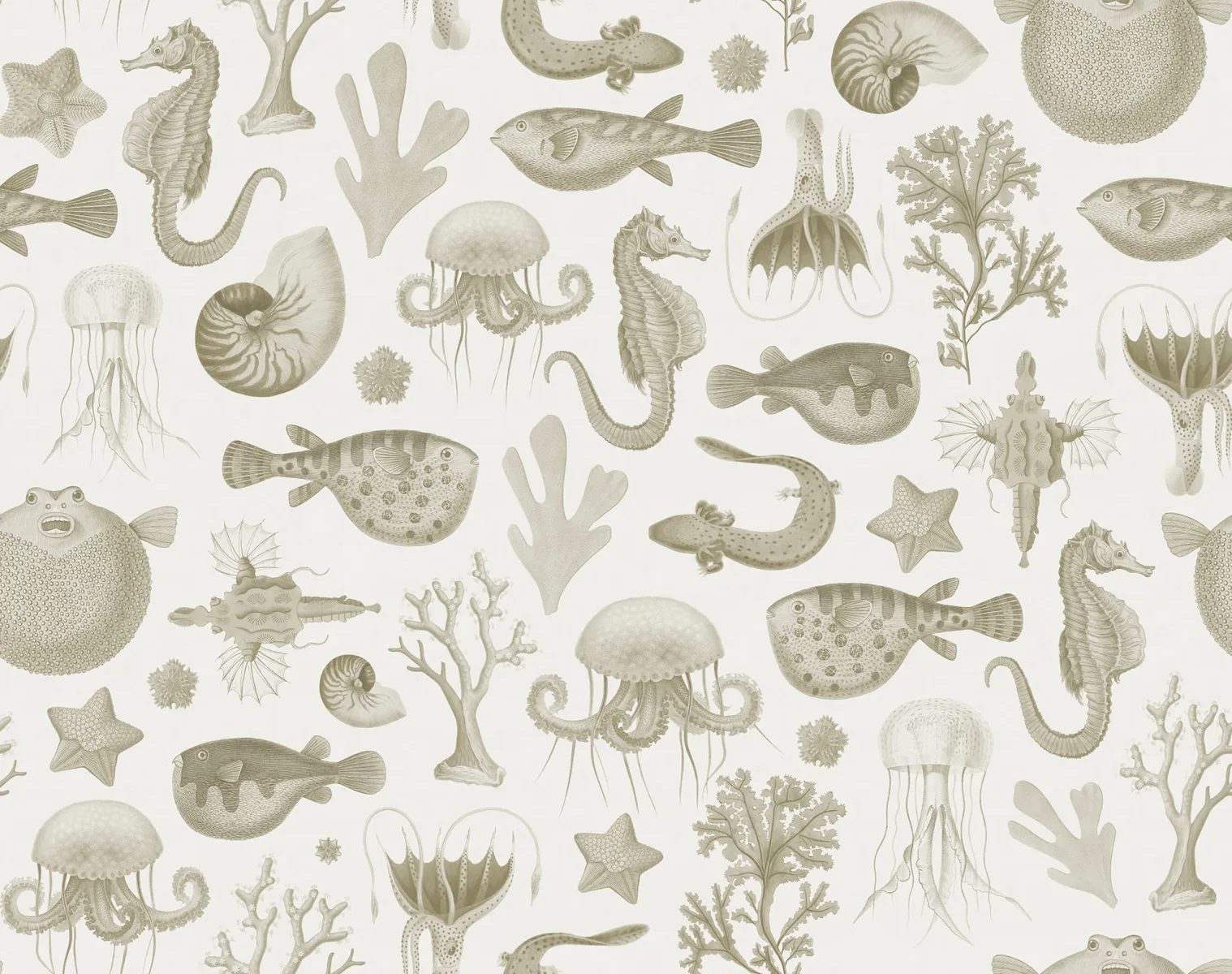 Sea Life, Sand, Rebel Walls