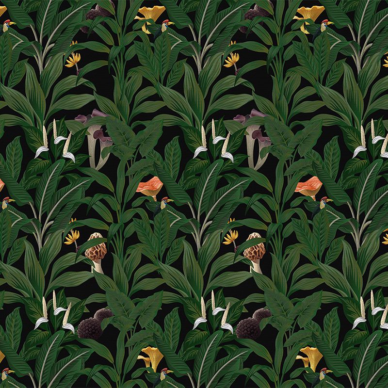 Tropical Story, VLAdiLA