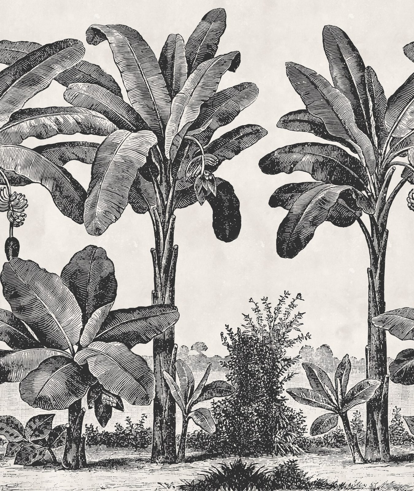 Timeless Tropics, Black & White, Rebel Walls