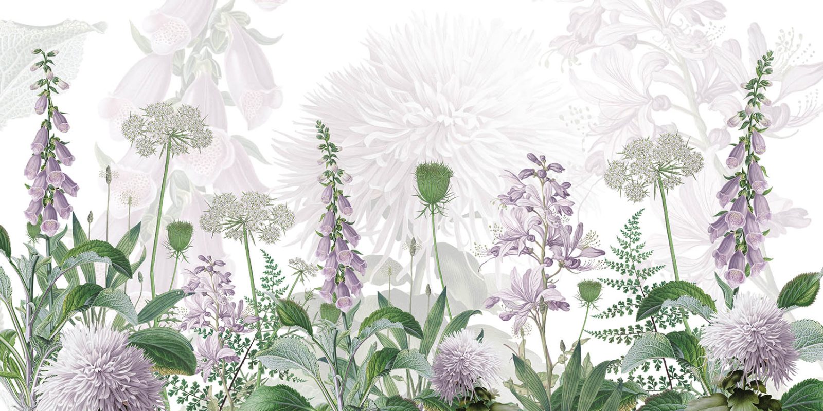 Foxglove Flowers, Sir Edward