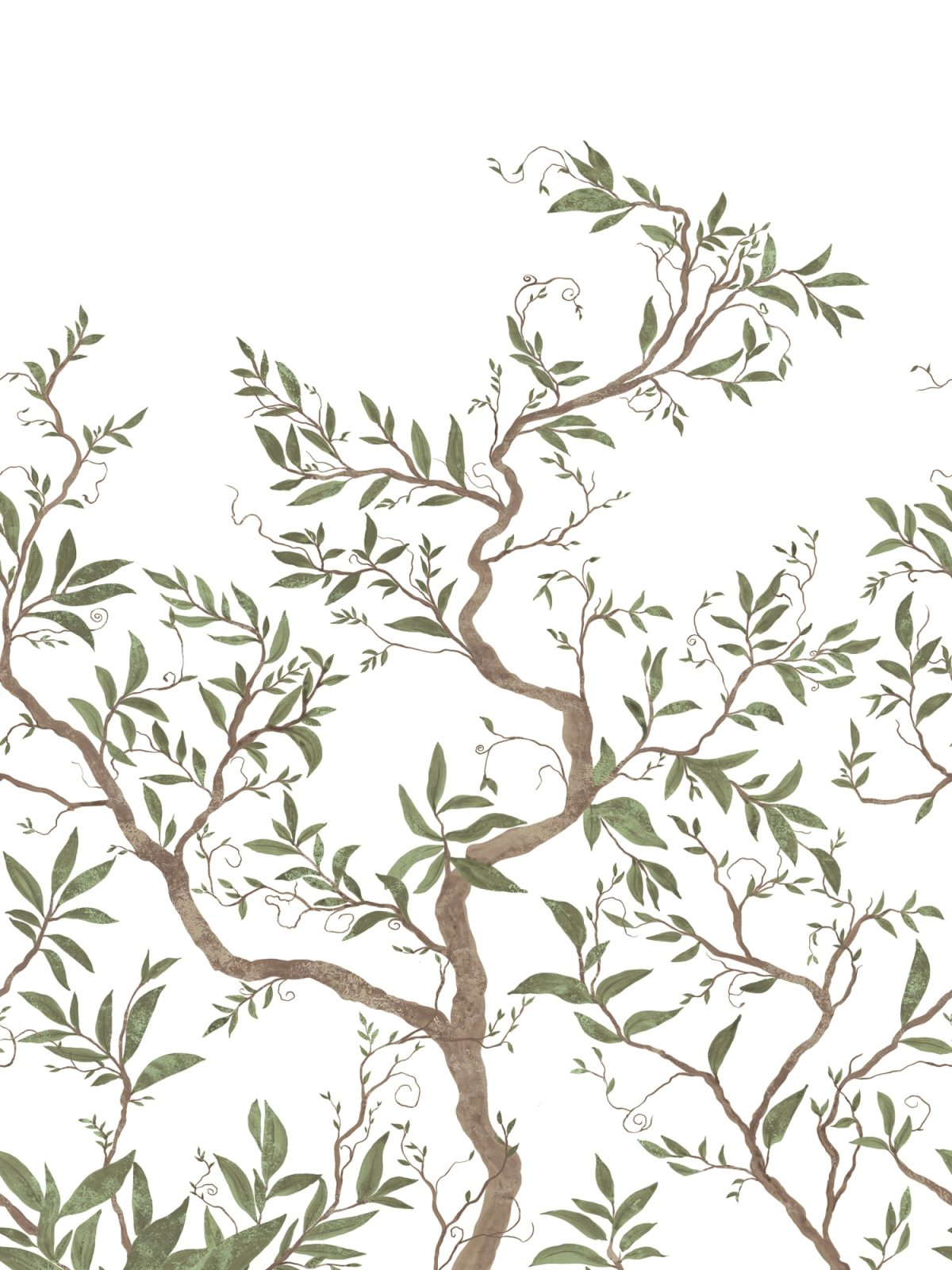 Branches of Dreams, White, Rebel Walls