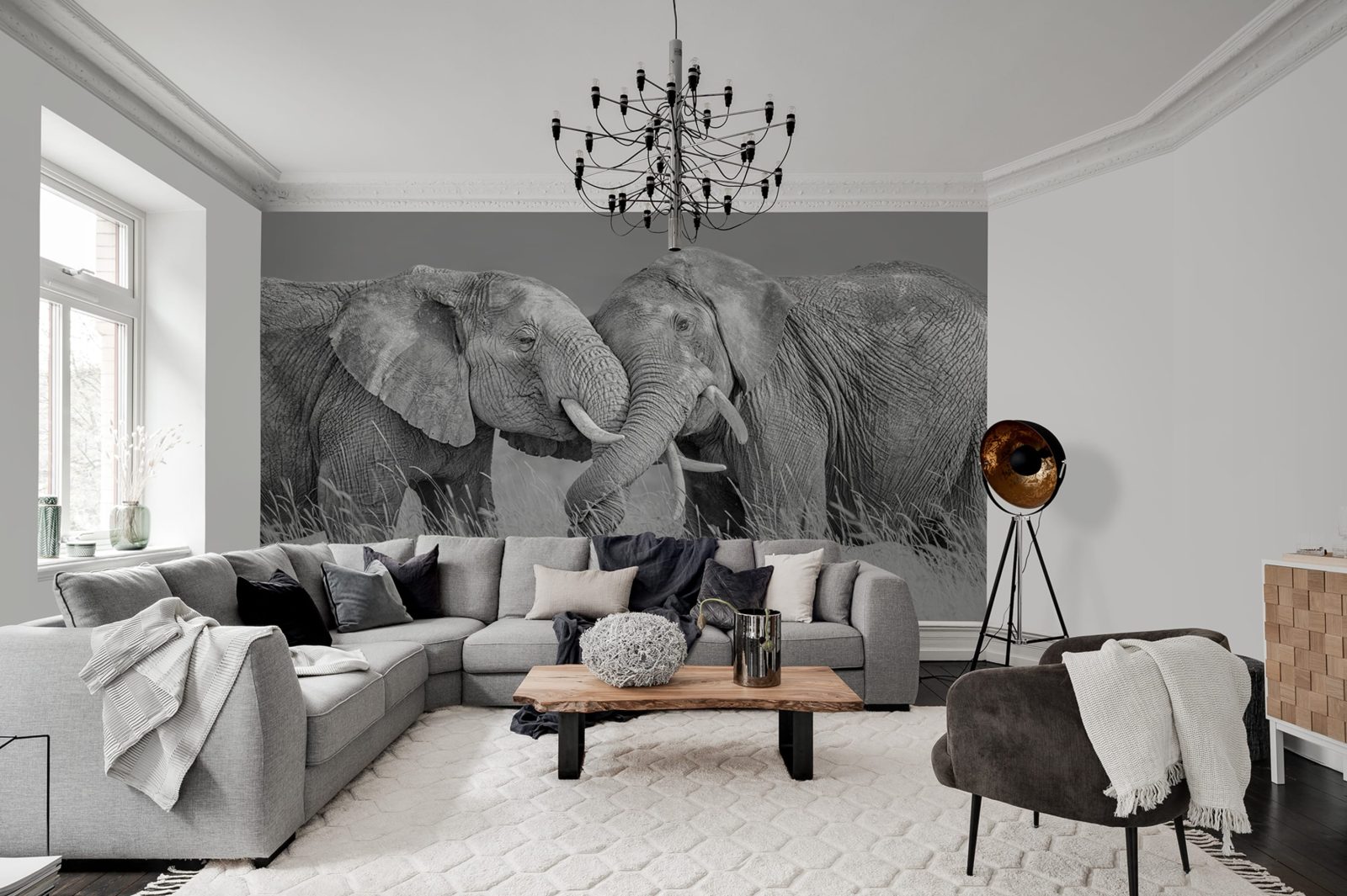 Elephant Hug, Rebel Walls 2