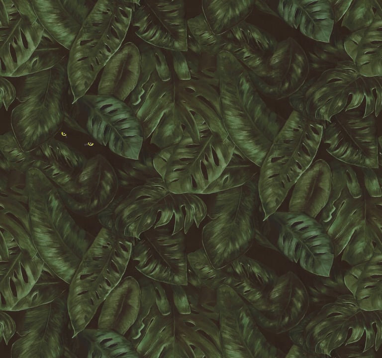 I See You, Emerald, Rebel Walls