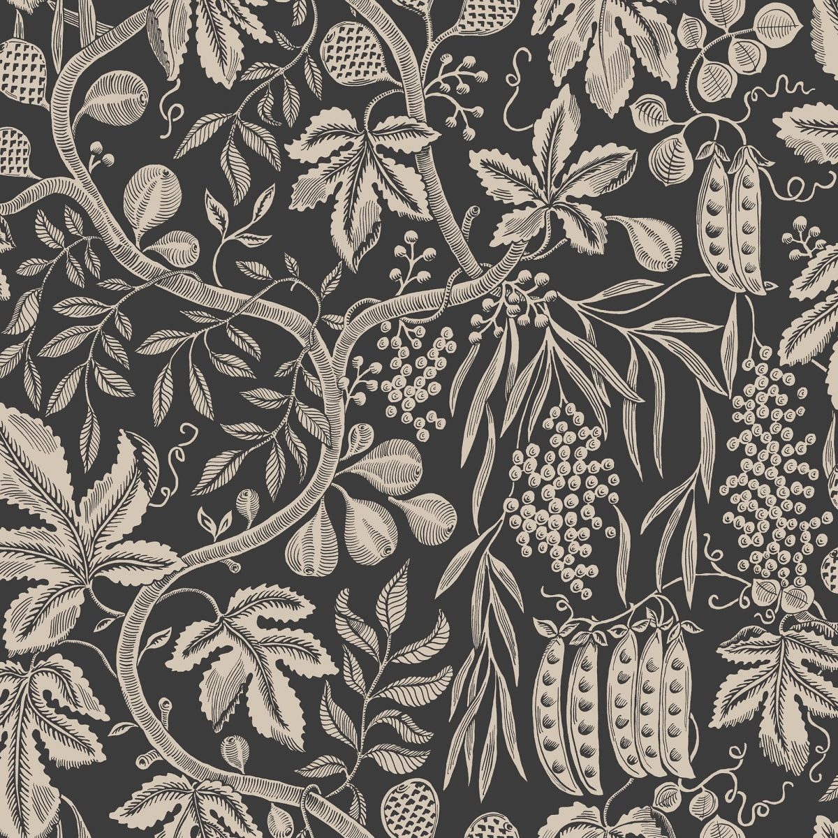 Fig Garden Charcoal, Sandberg, 5.3mp / rola