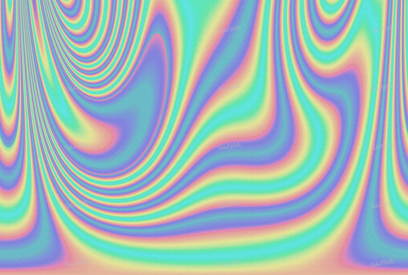 Neon Lights, Rebel Walls