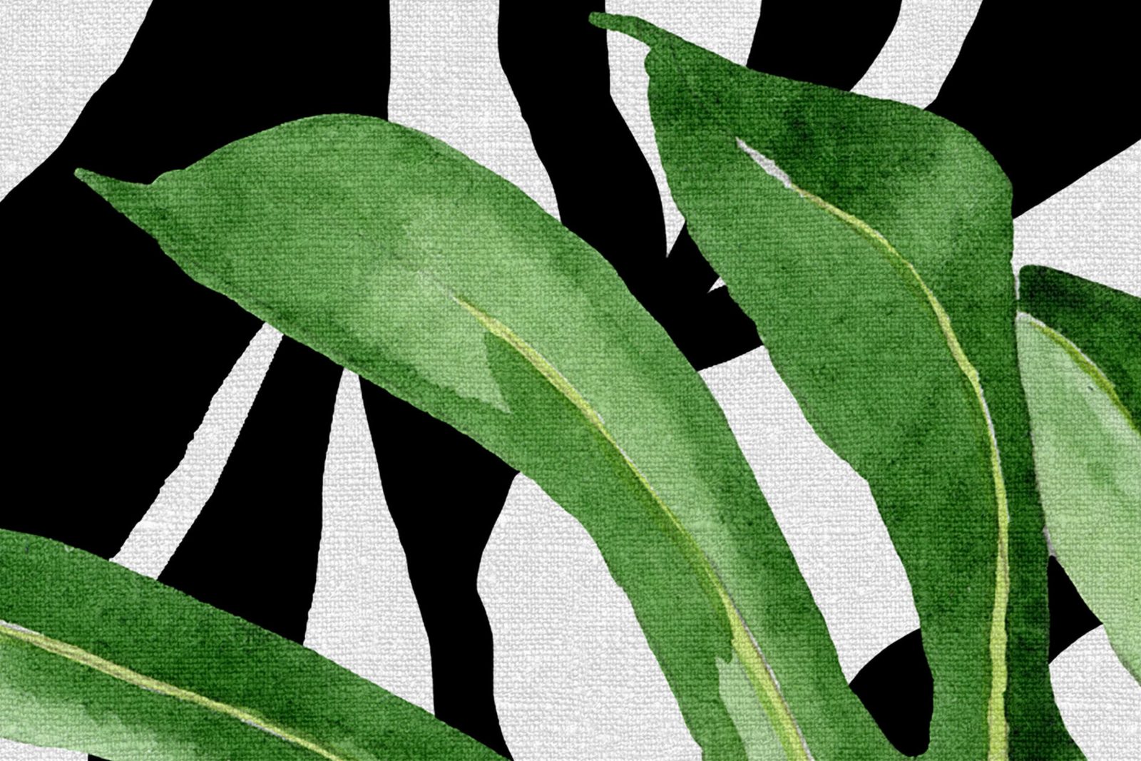 Jungle Zebra, Rebel Walls 4