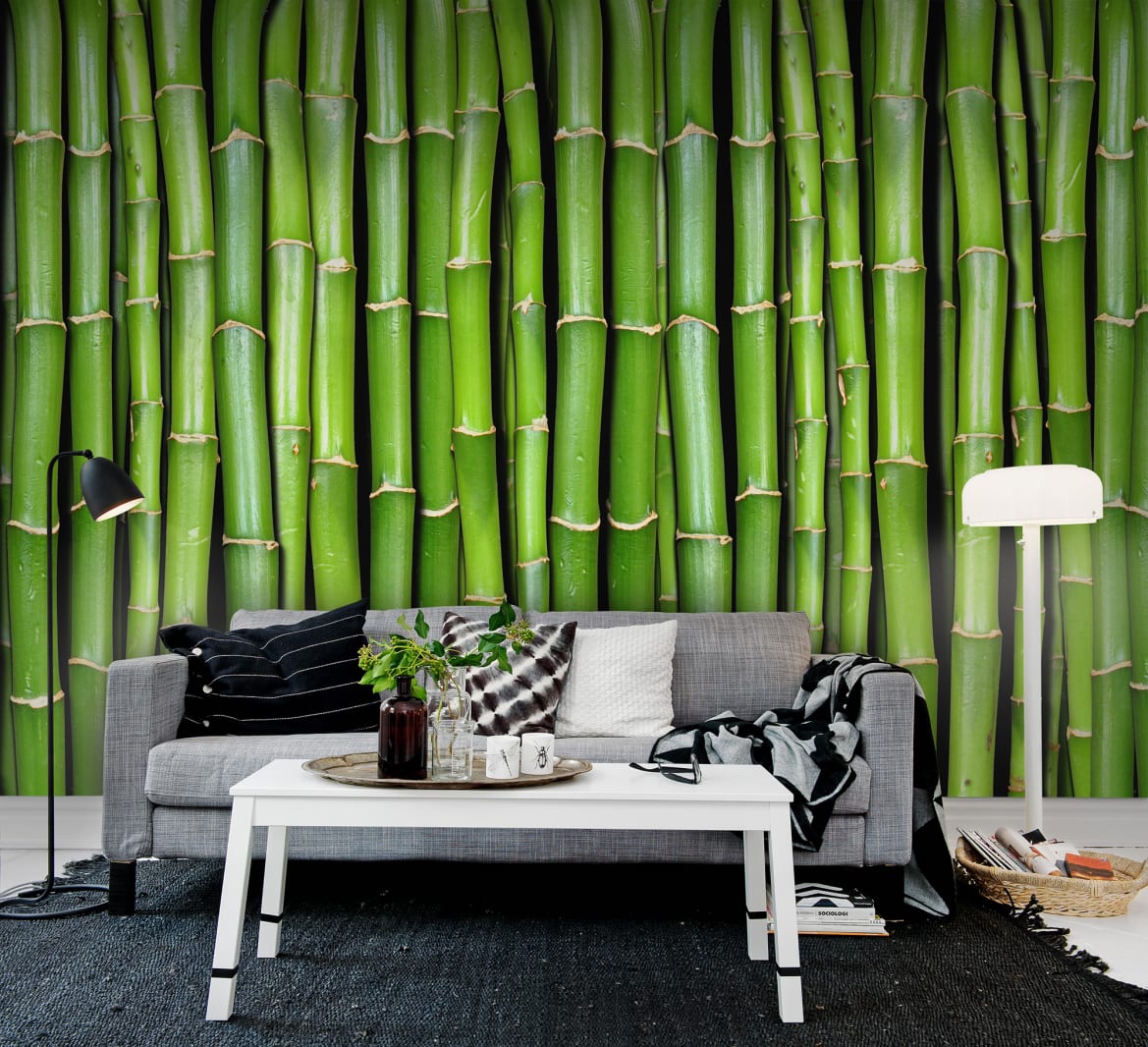 Bamboo, Rebel Walls 2