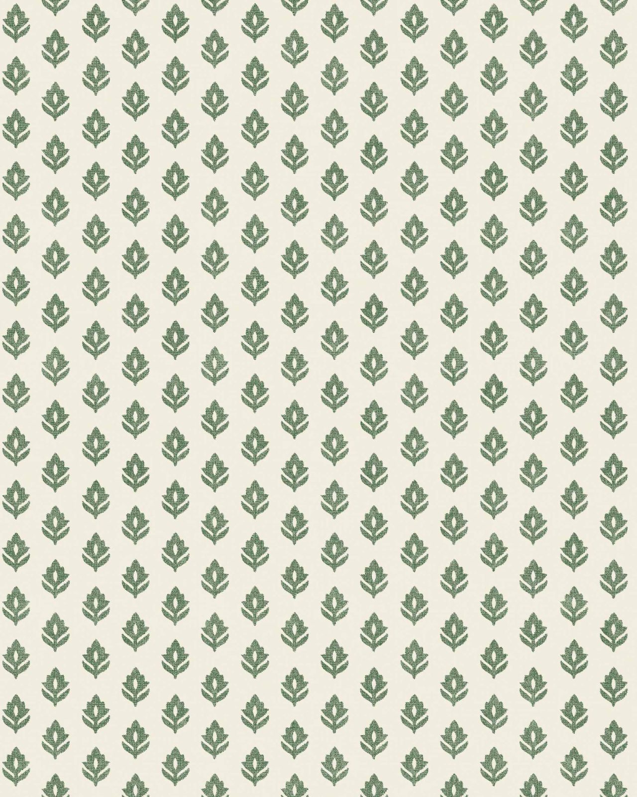 Clover, Green, Coordonne, 5mp / rola