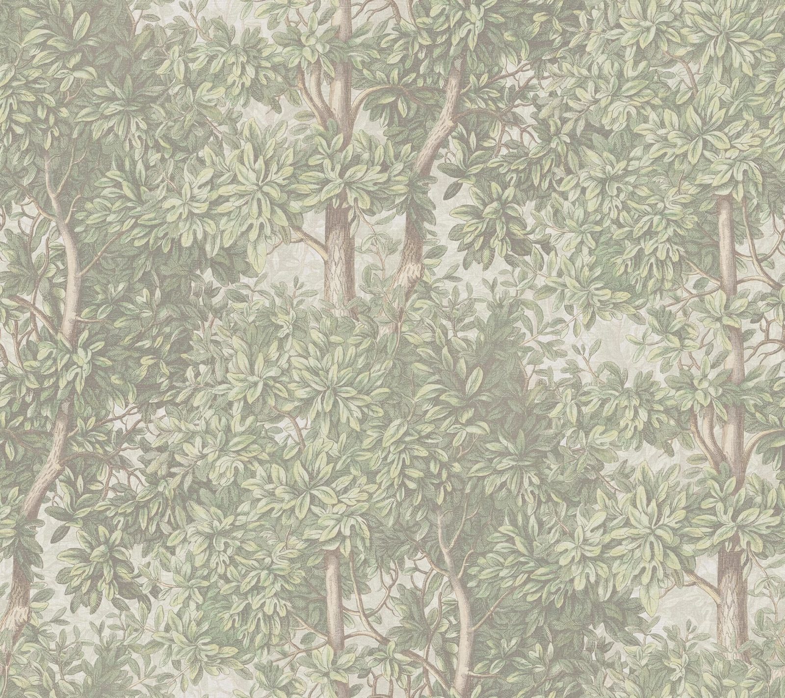 Charles, Light Green, Sandberg