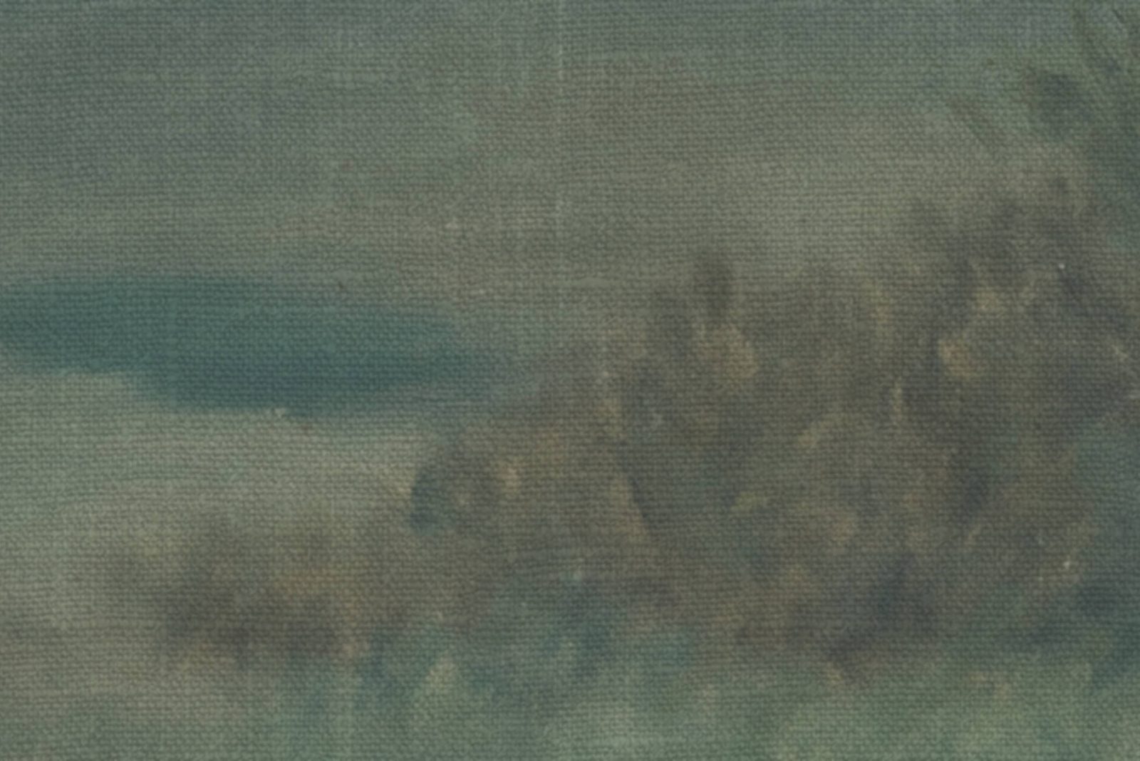 Poppy Landscape, Dusk, Rebel Walls 4