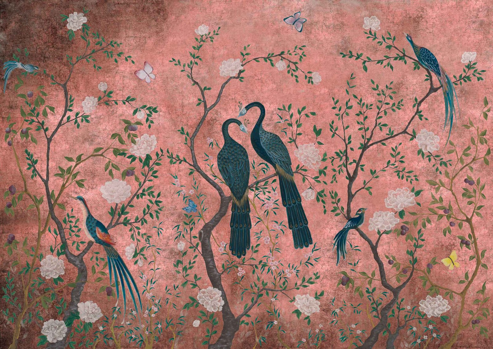 Core, Edo Pink, Coordonne