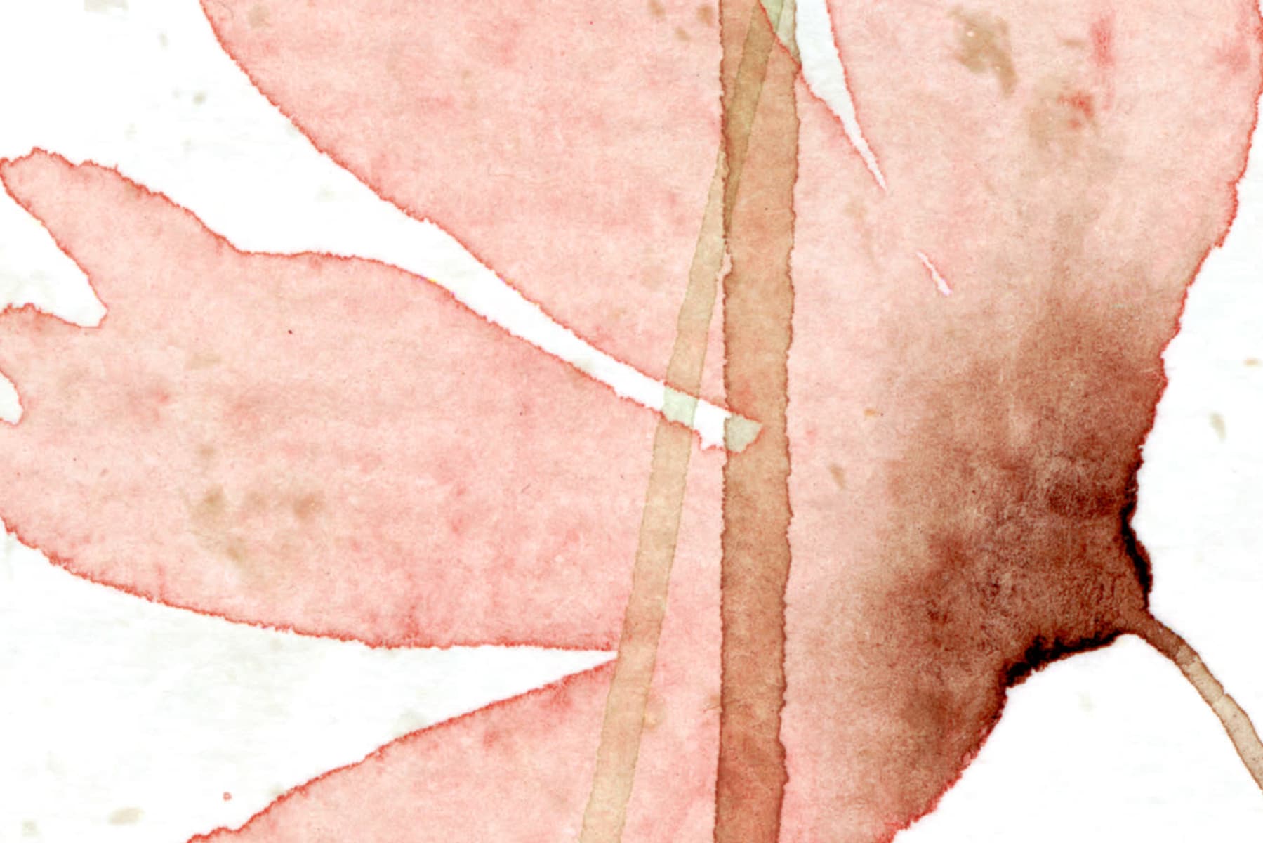 Dreamy Meadow, Red, Rebel Walls 4