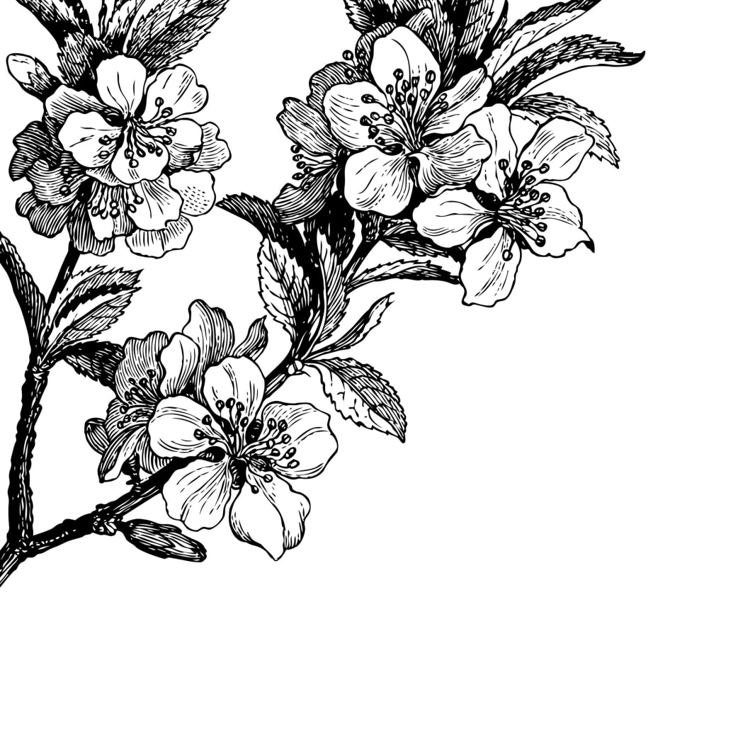 Springtime, Black&White, Rebel Walls