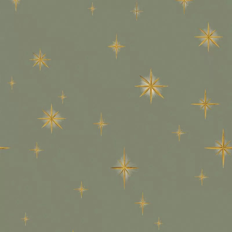 Stars Olive Classic, VLAdiLA