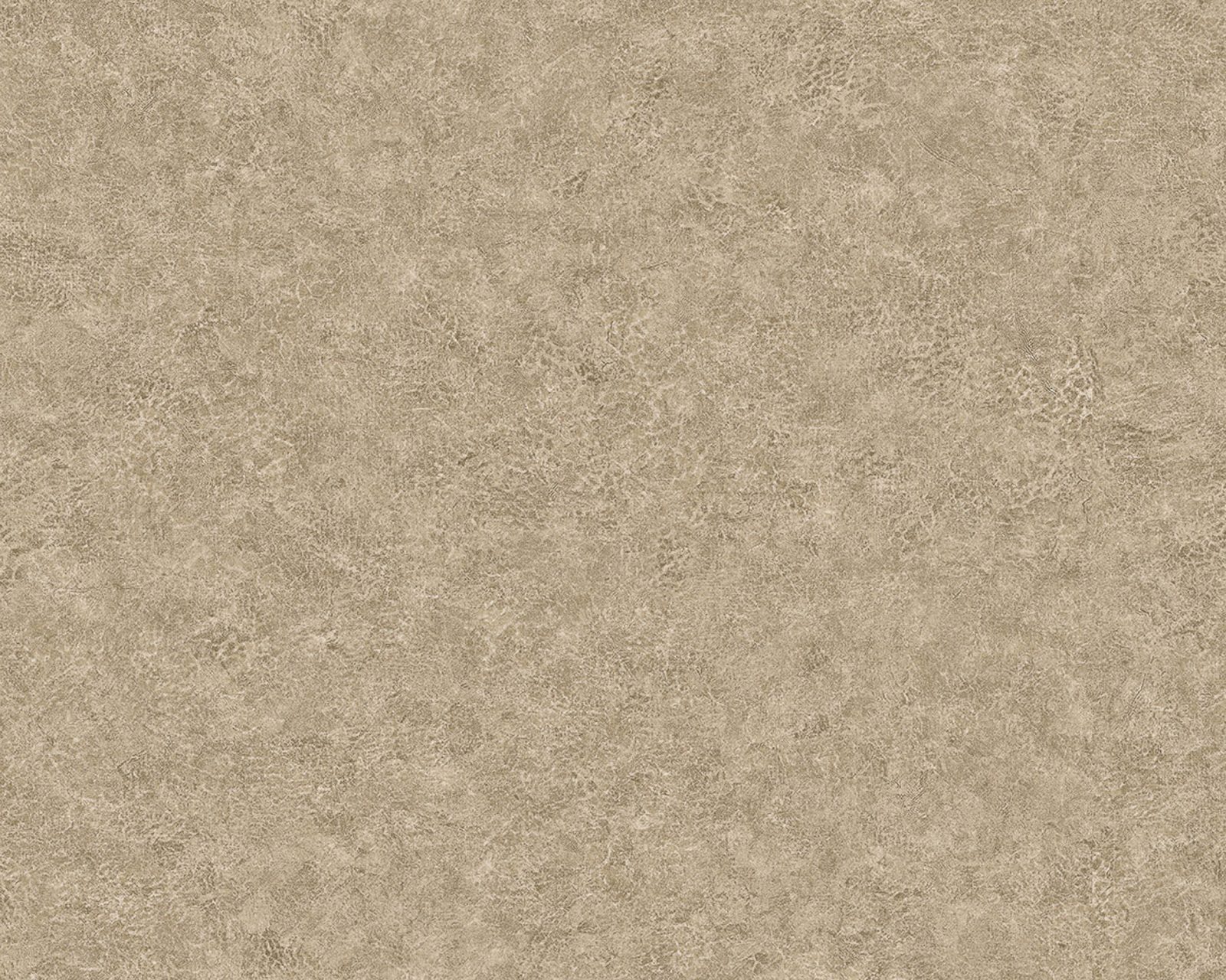 Elephant Leather, 64735607, Coordonne