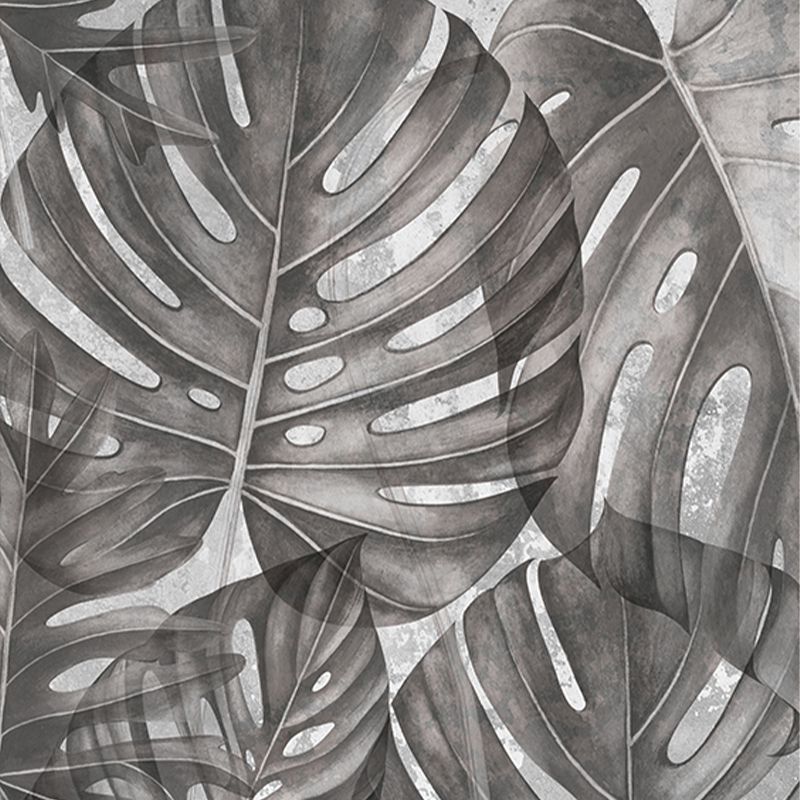Grey Philodendron, VLAdiLA