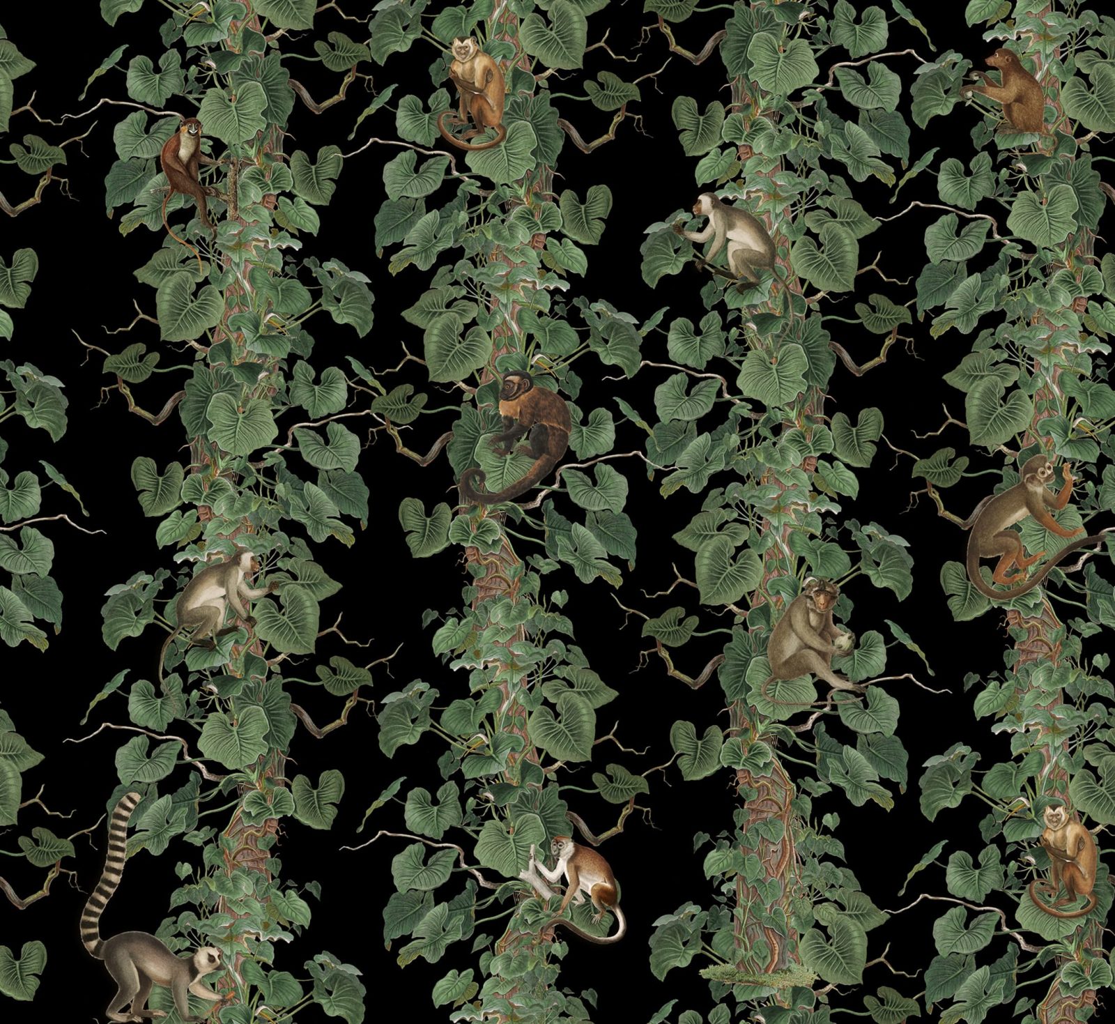 Monkey Climbers, Black, Rebel Walls